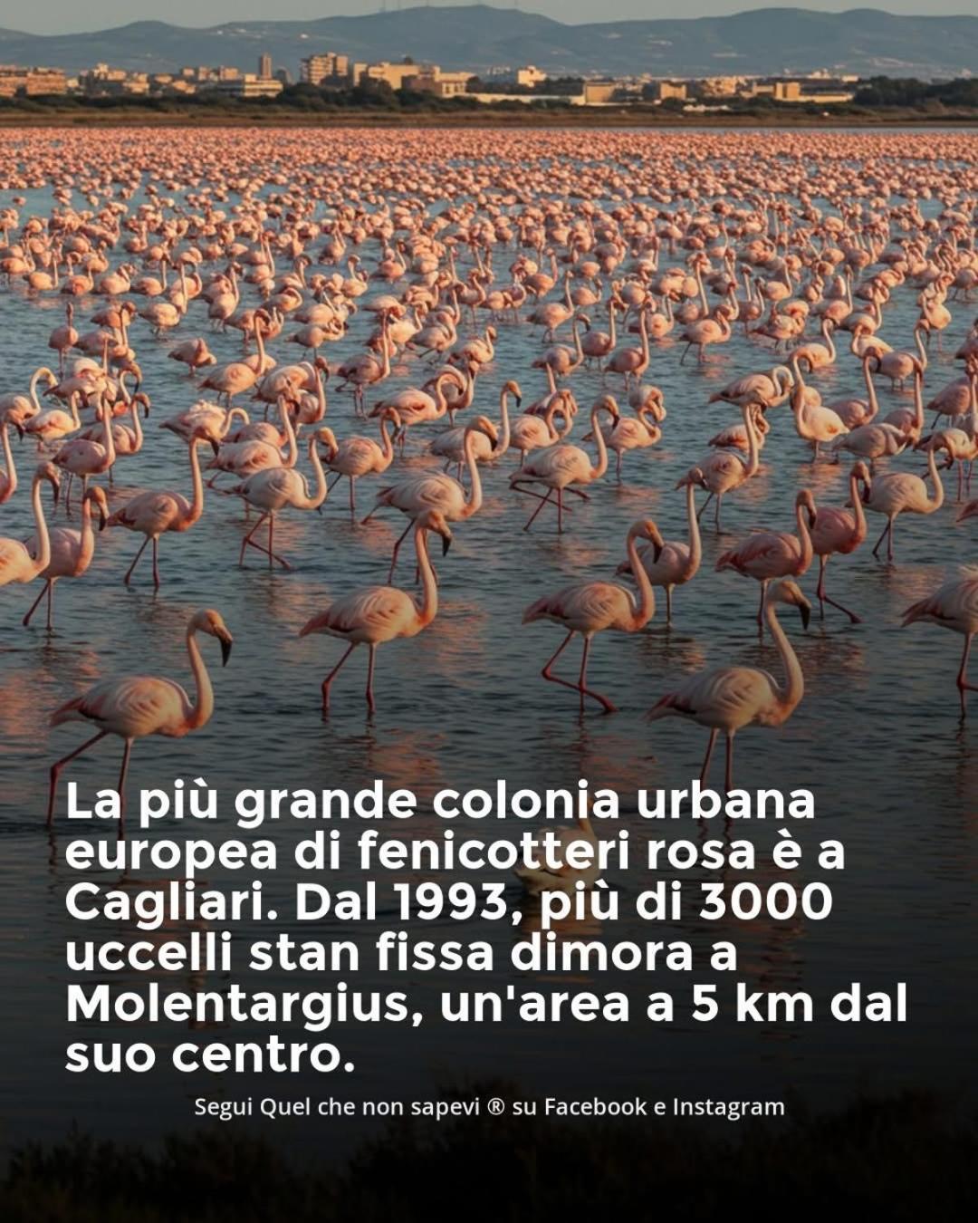 Appartamento Carino Splendido Trivano Panoramico Iun S3308 卡尔图西 外观 照片